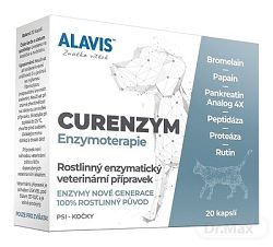 Alavis Enzymoterapie 20 tbl