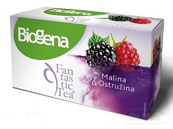 Biogena Fantastic Malina & Ostružina ovocný čaj aromatizovaný 20 x 2,2 g