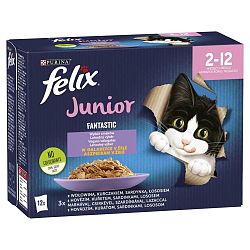 FELIX Fantastic Junior Multipack 6(12x85g) hovädzie, kura, sardinky, losos v želé